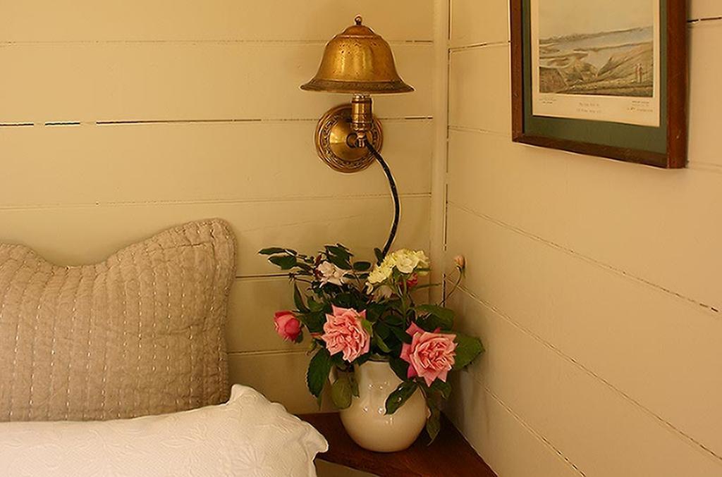 Bluff Hill Bed & Breakfast Napier Extérieur photo